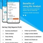1 User, 1 Year, Biz Analyst for Tally Mobile App